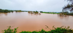 sangli-flood-news-sanglikars-are-afraid-of-floods-warna-bahe-takari-residents-of-baghphuti-river-banks-ordered-to-evacuate-water-rose-by-10-feet-in-24-hours-in-sangli